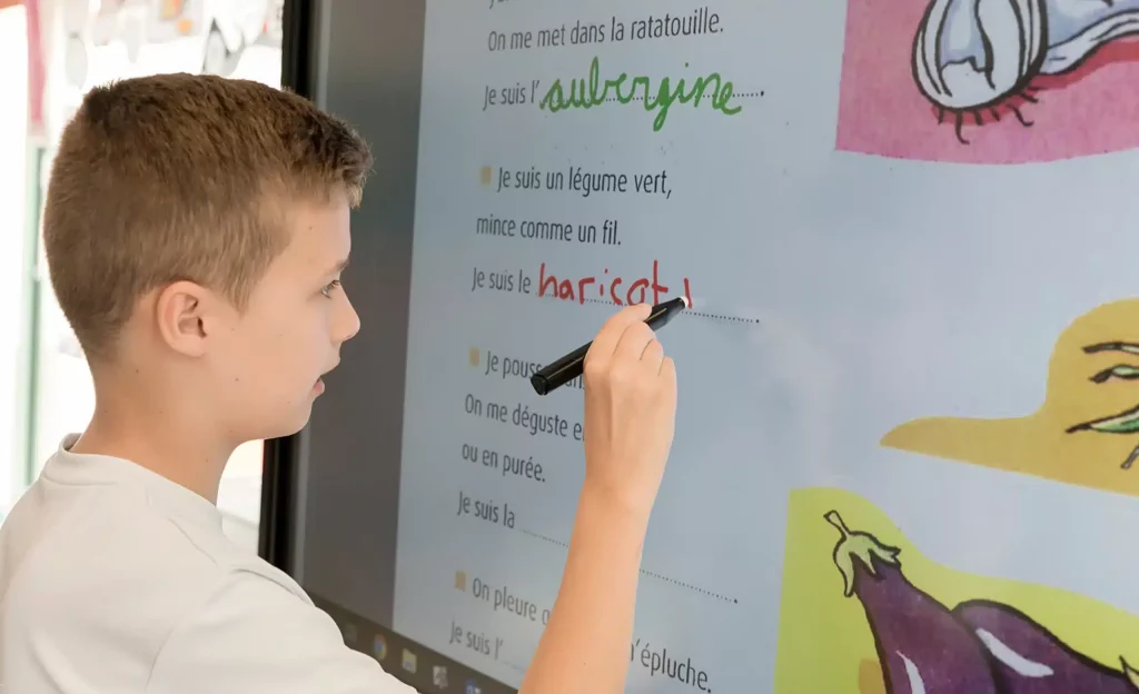 The importance of maintaining a bilingual education